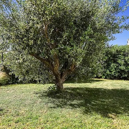 Holiday home Maison 5 Jusqu'a 10 Pers - Proche Phare Des Baleines - Fr-1-835-17 Saint-Clement-des-Baleines
